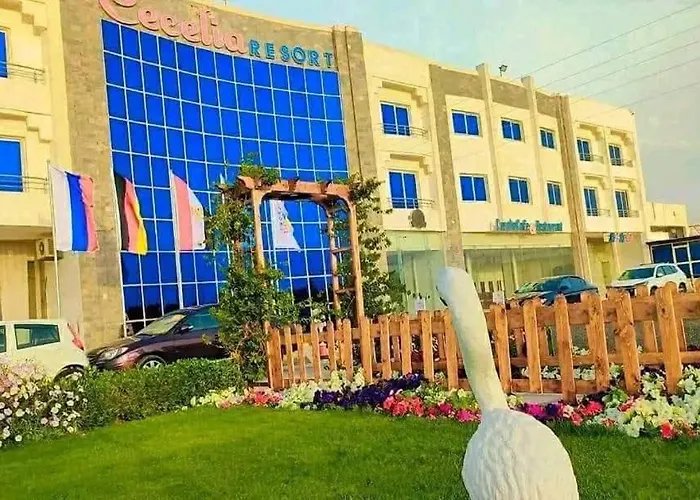 Cecelia Hurghada